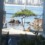 Ana Beatriz Brandão. Niterói, RJ, Brasil. “Aqui em frente de casa A água está linda e tem tartarugas Olha a cor da água O meio ambiente agradece Como somos predadores!“