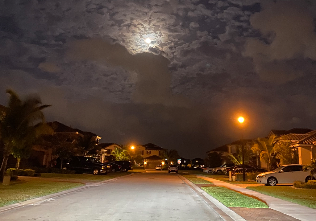 What is your quarantine landscape?